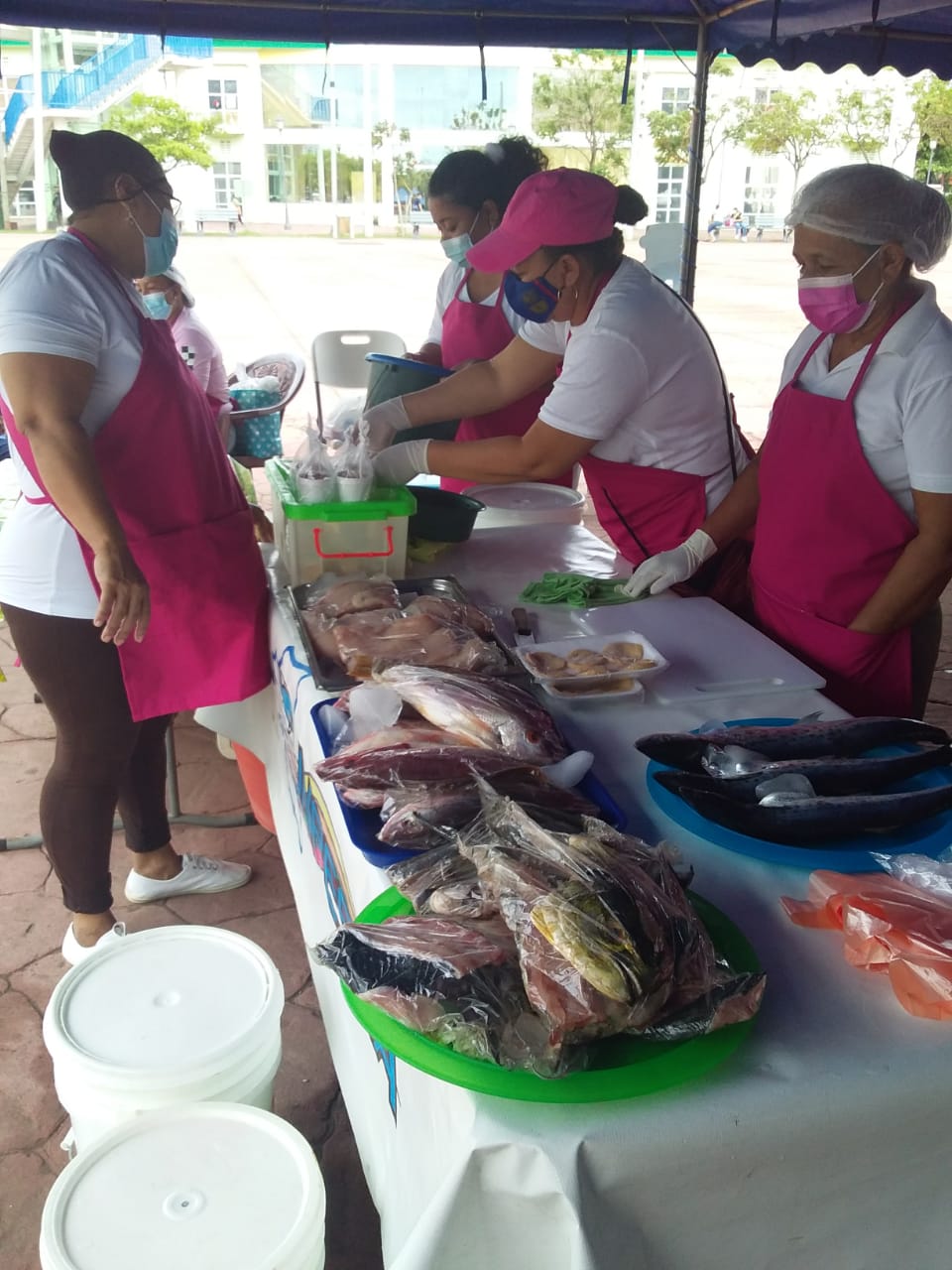 Coopertaiva 2 de septiembre feria del mar (4)