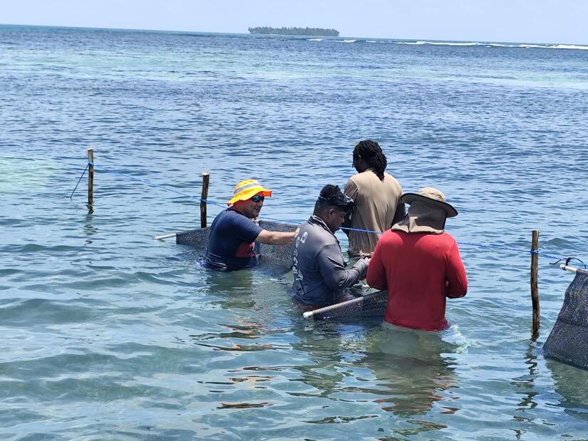 INPESCA 5 (1)